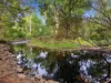 47 Wylie Street, Taggerty, Vic 3714-Image
