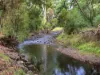 47 Wylie Street, Taggerty, Vic 3714-Image