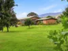 47 Wylie Street, Taggerty, Vic 3714-Image