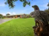 47 Wylie Street, Taggerty, Vic 3714-Image