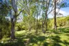 471 Mount Darragh Road, Lochiel, NSW 2549-Image