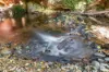 472 Buchanan Creek Road, Cow Bay, Daintree, Qld 4873-Image
