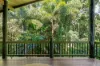 472 Buchanan Creek Road, Cow Bay, Daintree, Qld 4873-Image