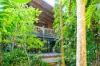 472 Buchanan Creek Road, Cow Bay, Daintree, Qld 4873-Image