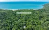 472 Buchanan Creek Road, Cow Bay, Daintree, Qld 4873-Image