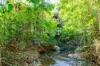 472 Buchanan Creek Road, Cow Bay, Daintree, Qld 4873-Image