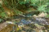 472 Buchanan Creek Road, Cow Bay, Daintree, Qld 4873-Image