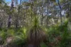 473 Lady Elliot Drive, Round Hill, Qld 4677-Image