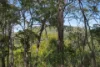 473 Lady Elliot Drive, Round Hill, Qld 4677-Image
