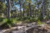 473 Lady Elliot Drive, Round Hill, Qld 4677-Image
