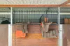 473 Numinbah Road, Nobbys Creek, NSW 2484-Image