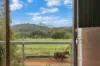 473 Numinbah Road, Nobbys Creek, NSW 2484-Image