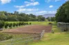 473 Numinbah Road, Nobbys Creek, NSW 2484-Image