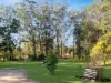 4738 Pacific Highway, Kew, NSW 2439-Image