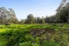 474 Lake Paloona Road, Lower Barrington, Tas 7306-Image