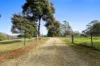 474 Lake Paloona Road, Lower Barrington, Tas 7306-Image