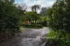 475 Belgrave-Gembrook Road, Avonsleigh, Vic 3782-Image