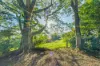 475 Maleny - Kenilworth Road, Witta, Qld 4552-Image