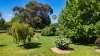476 Kaputar Road, Narrabri, NSW 2390-Image