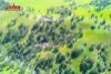 477 One Tree Hill Road, Gould Creek, SA 5114-Image