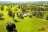 477 One Tree Hill Road, Gould Creek, SA 5114-Image