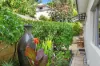 47A Buxton Road, Wembley Downs, WA 6019-Image