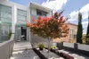 47A St Albans Street, Abbotsford, NSW 2046-Image