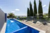 47A St Albans Street, Abbotsford, NSW 2046-Image