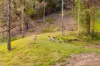 48-70 Randwick Drive, Mundoolun, Qld 4285-Image