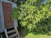 48 Beach Road, Ayr, Qld 4807-Image