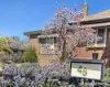 48 Berthong Street, Young, NSW 2594