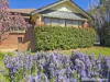 48 Berthong Street, Young, NSW 2594-Image