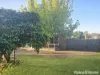 48 Berthong Street, Young, NSW 2594-Image