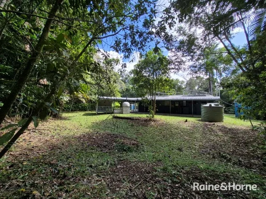 48 Fig Tree Road, Cow Bay, Qld 4873