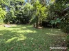 48 Fig Tree Road, Cow Bay, Qld 4873-Image