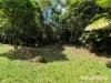 48 Fig Tree Road, Cow Bay, Qld 4873-Image