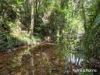 48 Fig Tree Road, Cow Bay, Qld 4873-Image