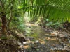 48 Fig Tree Road, Cow Bay, Qld 4873-Image