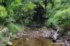 48 Fig Tree Road, Cow Bay, Qld 4873-Image