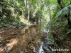 48 Fig Tree Road, Cow Bay, Qld 4873-Image