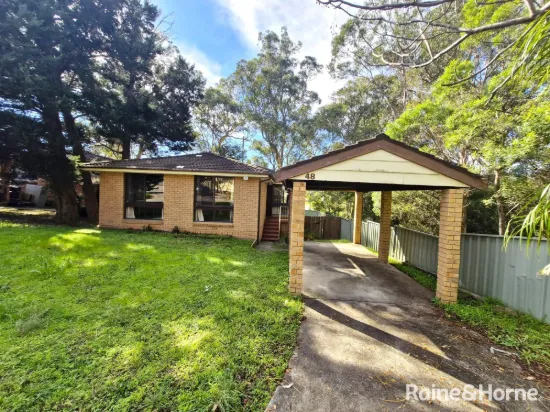 48 Gentian Avenue, Macquarie Fields, NSW 2564