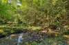 48 Gumland Drive, Witta, Qld 4552-Image
