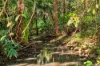 48 Gumland Drive, Witta, Qld 4552-Image