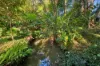48 Gumland Drive, Witta, Qld 4552-Image