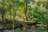48 Gumland Drive, Witta, Qld 4552-Image