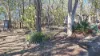 48 Hale Haven Drive, Stanthorpe, Qld 4380-Image