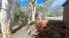 48 Hale Haven Drive, Stanthorpe, Qld 4380-Image