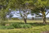 48 Heard Crescent, Gisborne South, Vic 3437-Image
