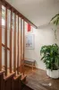 48 Jackson Street, Coorparoo, Qld 4151-Image