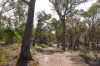 48 Jaeger Circuit, Bruce, ACT 2617-Image